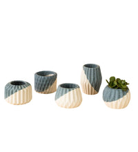 Geometric Mini Pots Grey and White - E - Pots - Tumbleweed Plants - Online Plant Delivery Singapore