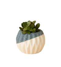 Geometric Mini Pots Grey and White - E - Pots - Tumbleweed Plants - Online Plant Delivery Singapore