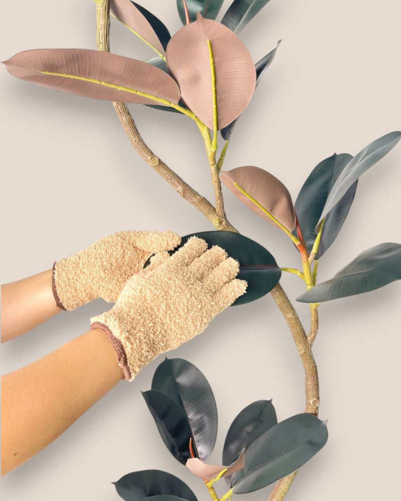 Gloves - Beige - Gloves - Tumbleweed Plants - Online Plant Delivery Singapore