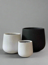 Goblet Pot - Large - Pots - POTS - LARG - STN - 6703 - Tumbleweed Plants - Online Plant Delivery Singapore