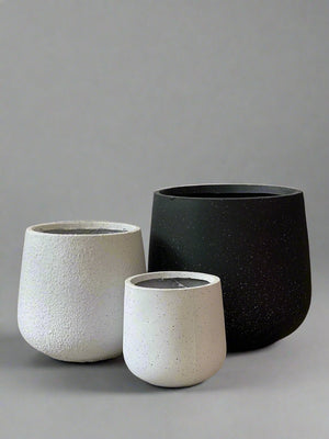 Goblet Pot - Large - Pots - POTS - LARG - STN - 6703 - Tumbleweed Plants - Online Plant Delivery Singapore