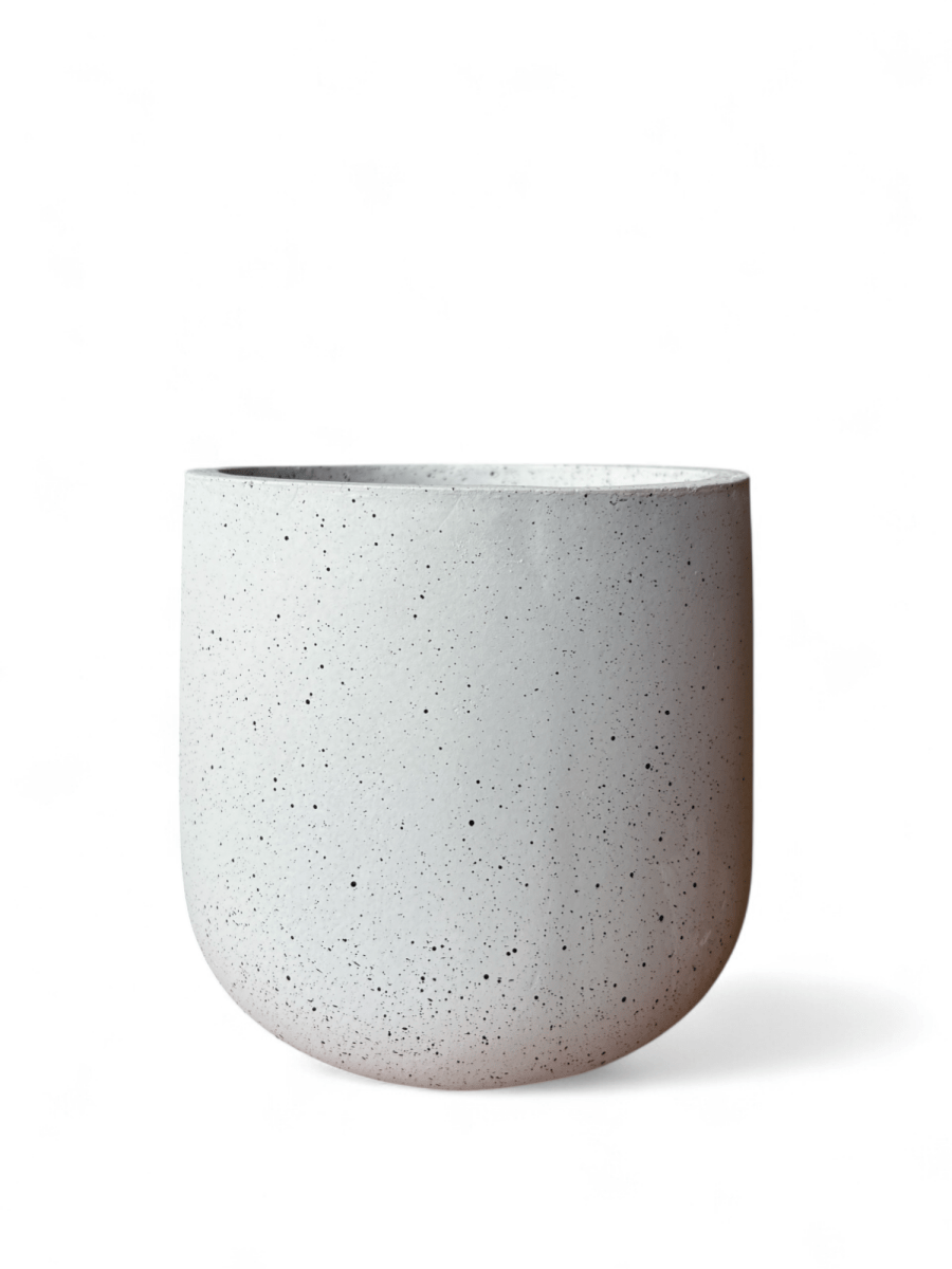 Goblet Pot XXL - Pots - POT - LARG - 5652 - Tumbleweed Plants - Online Plant Delivery Singapore