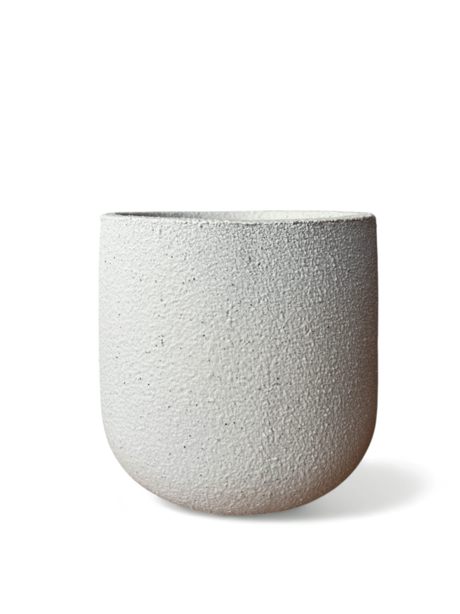Goblet Pot XXL - Pots - POT - LARG - 5651 - Tumbleweed Plants - Online Plant Delivery Singapore