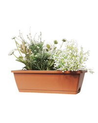Growbox - Planter - 5365452921912 - Tumbleweed Plants - Online Plant Delivery Singapore