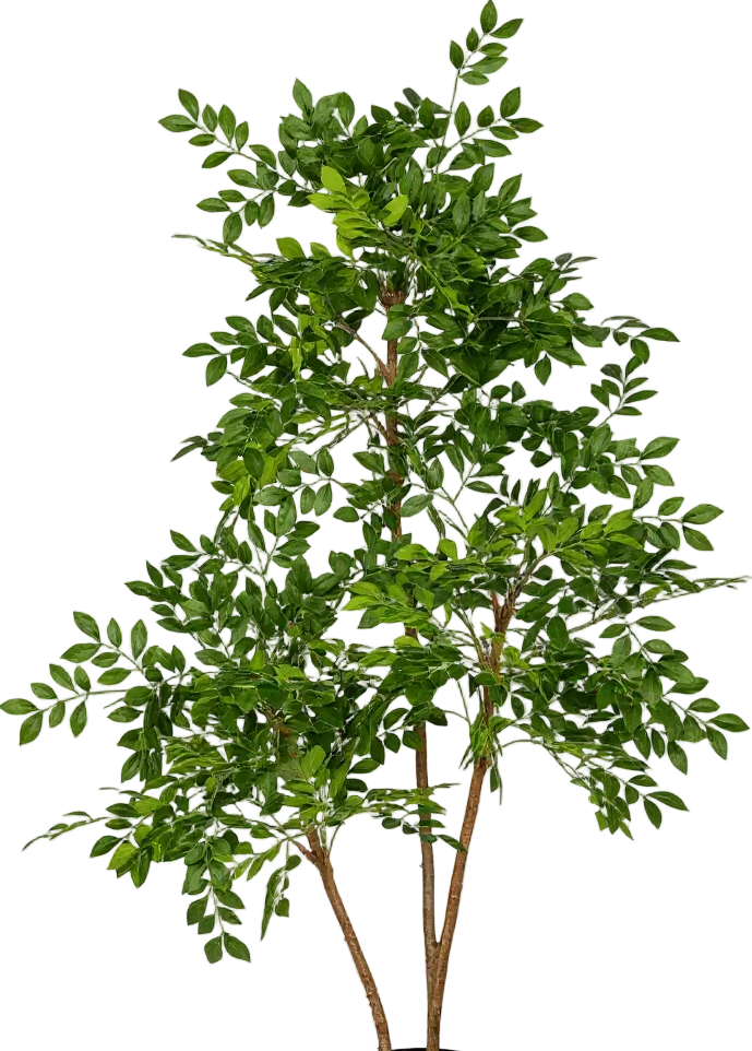 Chinese Money Tree (Life-like Artificial)