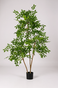 Chinese Money Tree (Life-like Artificial) - Potted plant -  Tumbleweed Plants