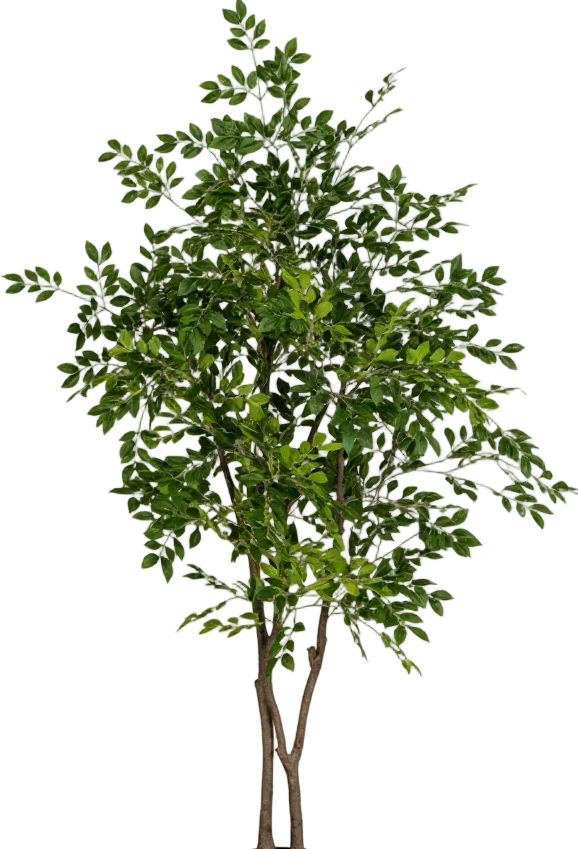 Chinese Money Tree (Life-like Artificial)