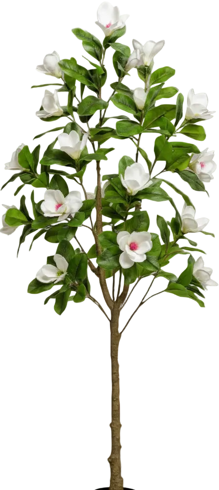 Magnolia Flower Tree (Life-like Artificial)