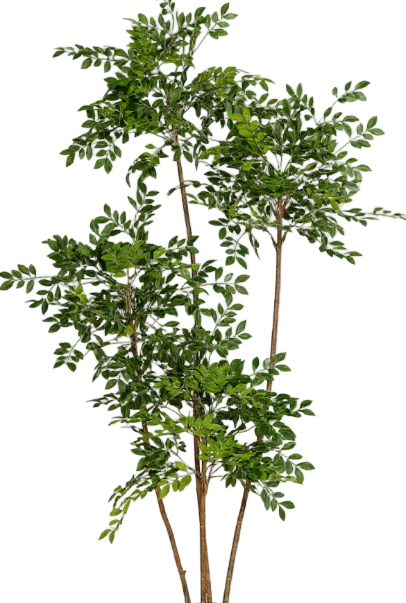 Chinese Money Tree (Life-like Artificial)