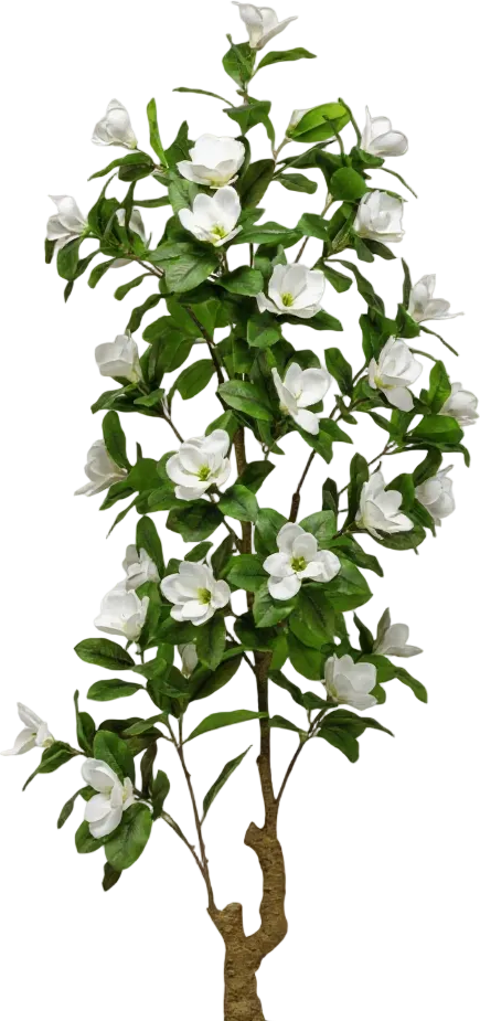 Magnolia Flower Tree (Life-like Artificial)
