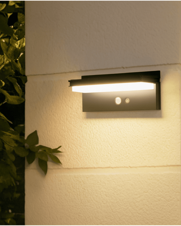 GuardMotion Wall Solar Lights - Garden Lights - 5952495875353 - Tumbleweed Plants - Online Plant Delivery Singapore