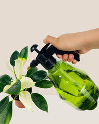 Gwen Pump Mist Spray Bottle - grey - Tumbleweed Plants - Online Plant Delivery Singapore