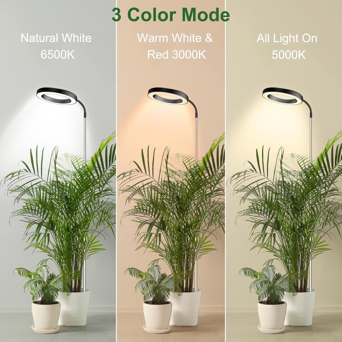 The three light modes of HALO side by side: natural white, warm white and red, and all lights on