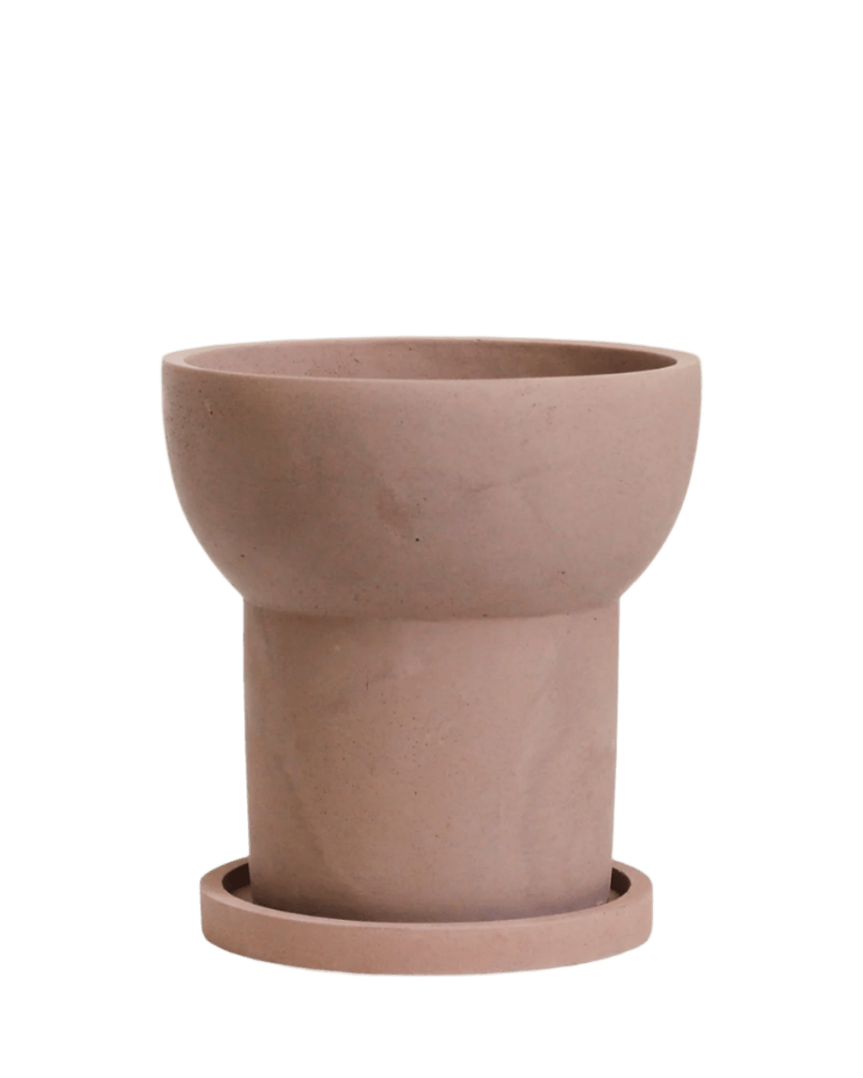 Halo Planters - Pots - 5542221418633 - Tumbleweed Plants - Online Plant Delivery Singapore