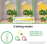 HALO Table Plant Lights - Plant Lights - 5653683746981 - Tumbleweed Plants - Online Plant Delivery Singapore