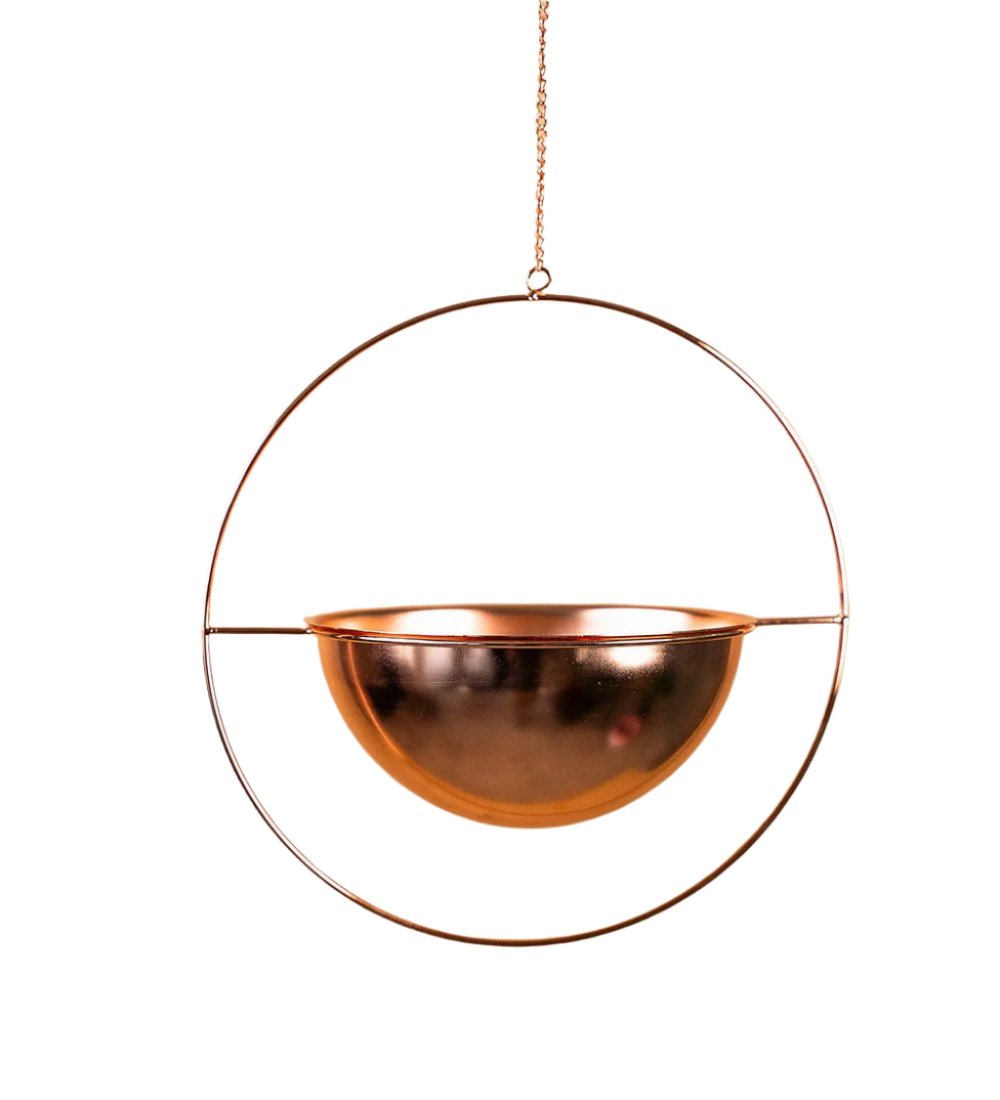 Hanging Globe - Hanging Planters - Tumbleweed Plants - Online Plant Delivery Singapore