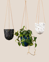 Hanging Terrazzo Planters by Capra Designs