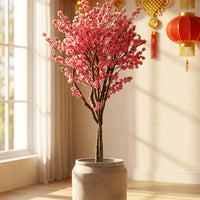 Cherry Blossom XL/XXL