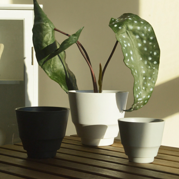 Ash Core Cloudstone Pot - Medium