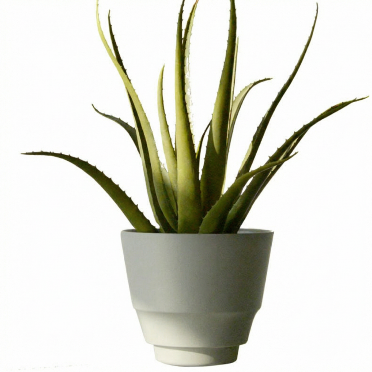 Ash Core Cloudstone Pot - Medium