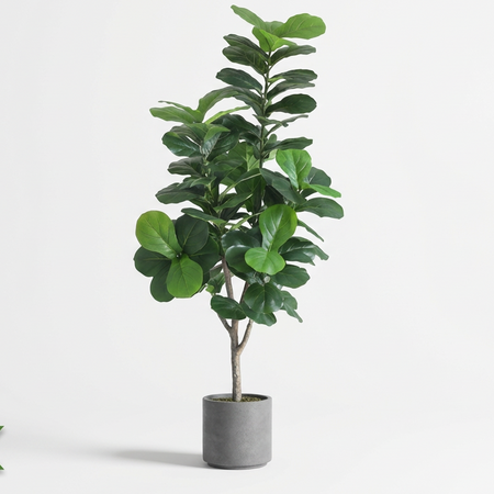 Fiddle Leaf Fig (Life-like Artificial)