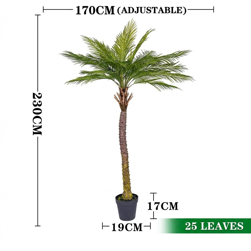 2.3m 25 leaves - thorn coconut