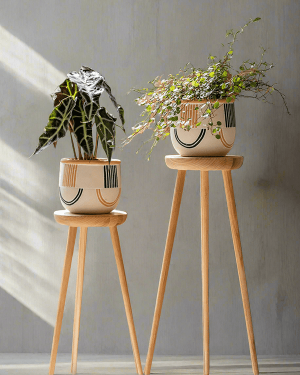 wood plant hanger High Wooden Plant Stand