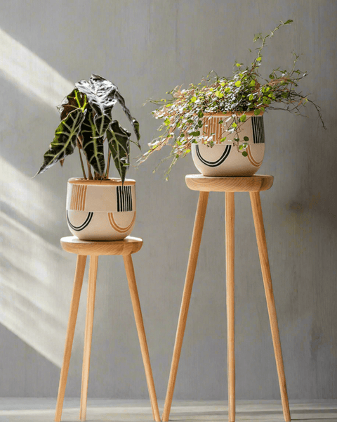 H.W.F PLANTER STAND”HIGH“ high-wooden-plant-stand-short-