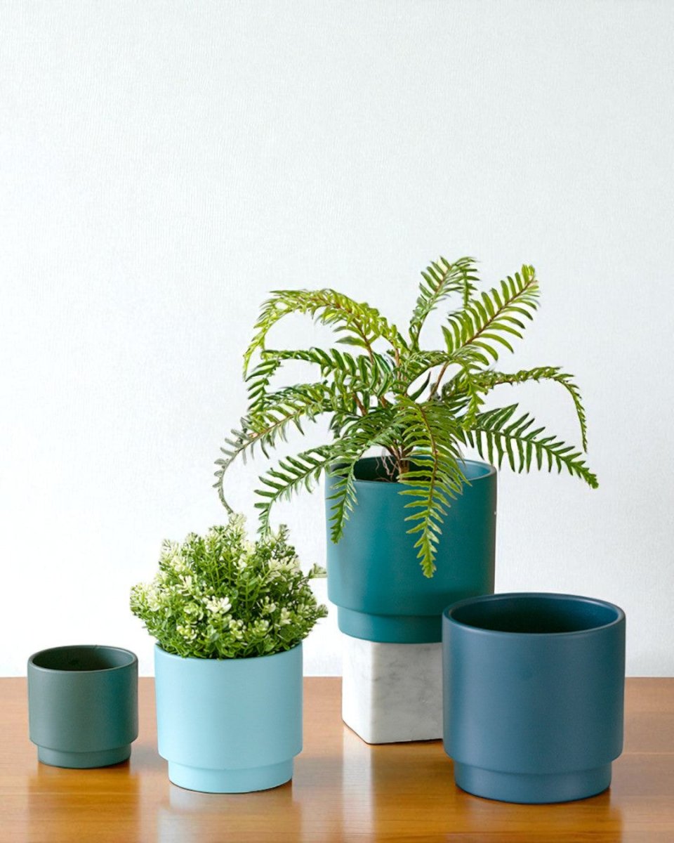 Hyde Planter - Small - Planter - 4850422792557 - Tumbleweed Plants - Online Plant Delivery Singapore