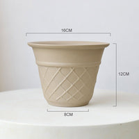 Ice Cream Cone Planter - Planter - 5815663443242 - Tumbleweed Plants - Online Plant Delivery Singapore