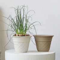 Ice Cream Cone Planter - Planter - 5815663443248 - Tumbleweed Plants - Online Plant Delivery Singapore