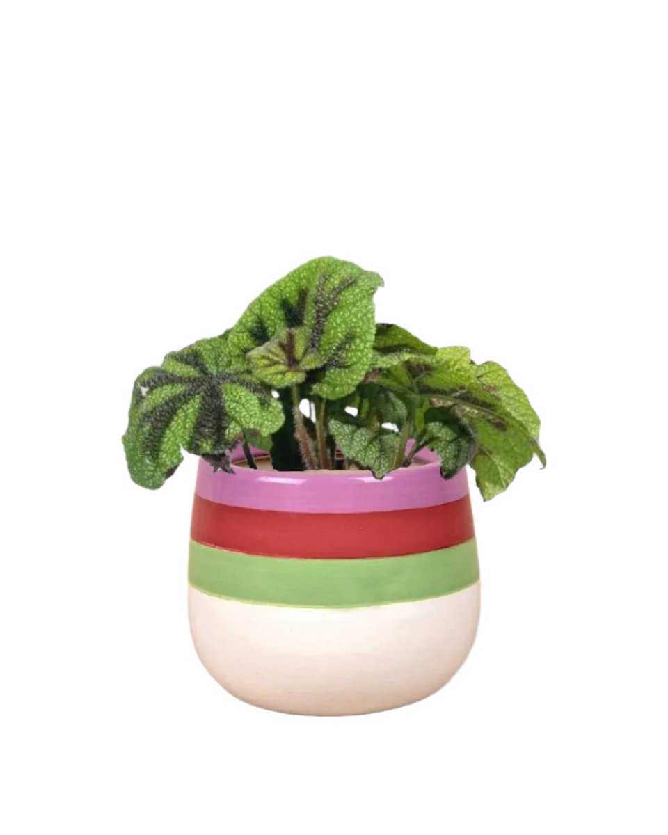 poppy color planter - buzz lightyear