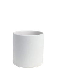 Ivory Essence Ceramic Pot - Small - Pots - Tumbleweed Plants - Online Plant Delivery Singapore