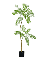 Jacaranda Faux Tree - Artificial Plant - 5232104620323 - 0 - Tumbleweed Plants - Online Plant Delivery Singapore