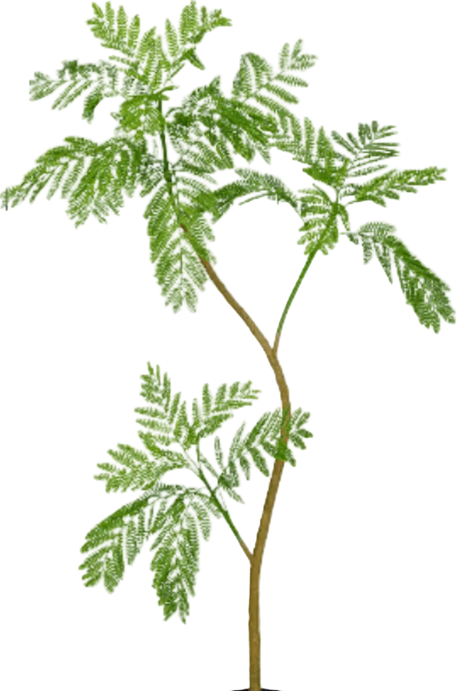 Jacaranda Tree (Life-like Artificial)