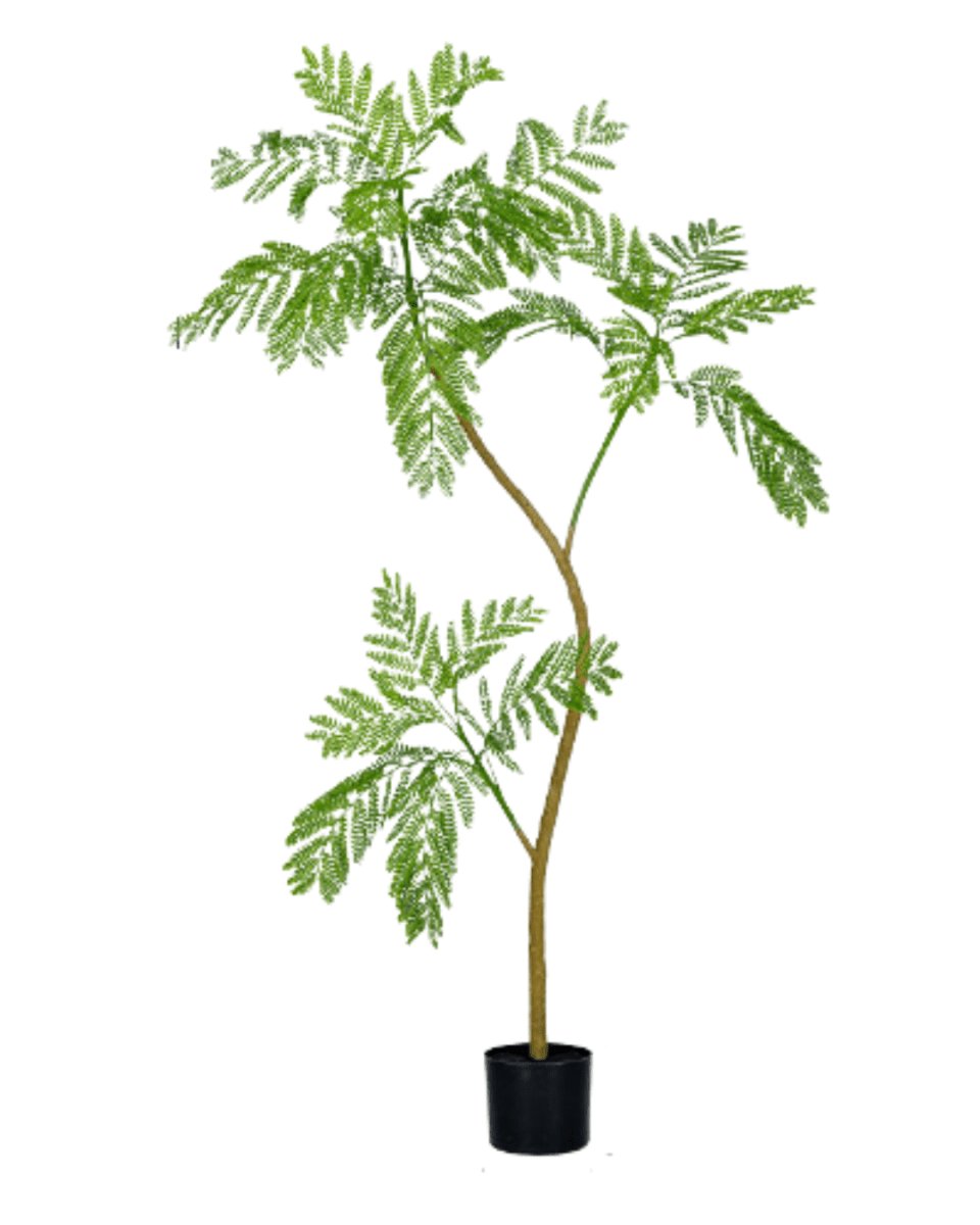 Jacaranda Faux Tree - Artificial Plant - 5232104620324 - 0 - Tumbleweed Plants - Online Plant Delivery Singapore