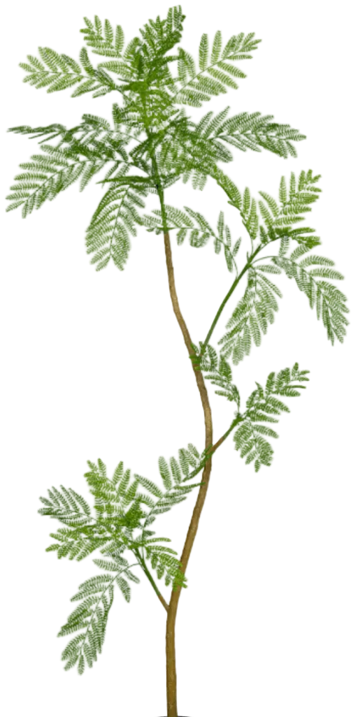 Jacaranda Tree (Life-like Artificial)