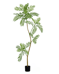 Jacaranda Faux Tree - Artificial Plant - 5232104620325 - 0 - Tumbleweed Plants - Online Plant Delivery Singapore