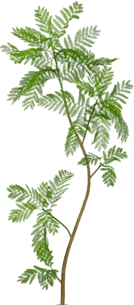 Jacaranda Tree (Life-like Artificial)