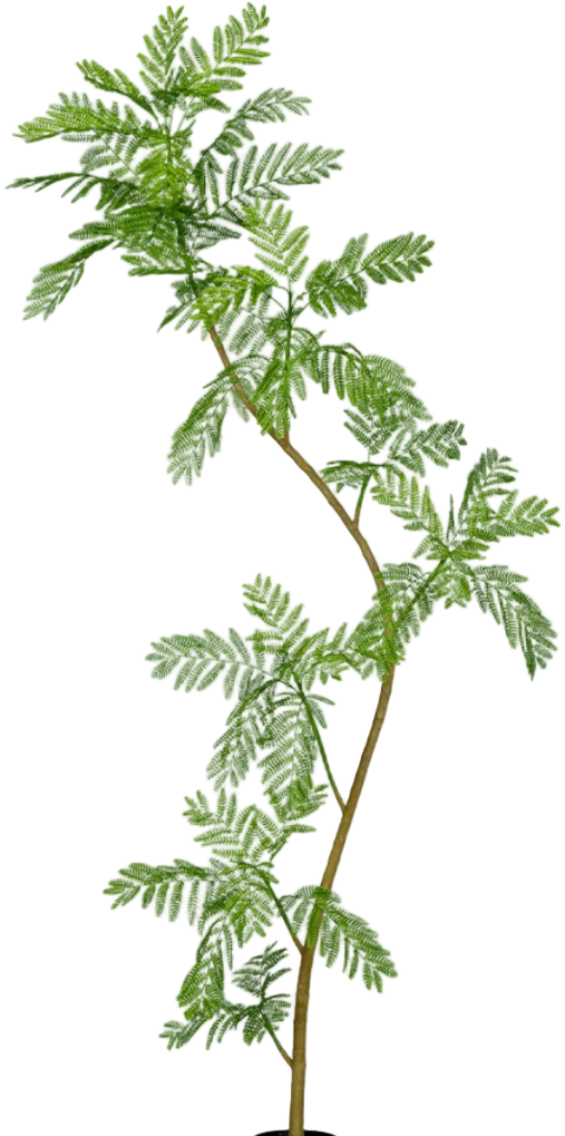 Jacaranda Tree (Life-like Artificial)