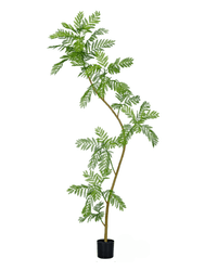 Jacaranda Faux Tree - Artificial Plant - 5232104620328 - 0 - Tumbleweed Plants - Online Plant Delivery Singapore