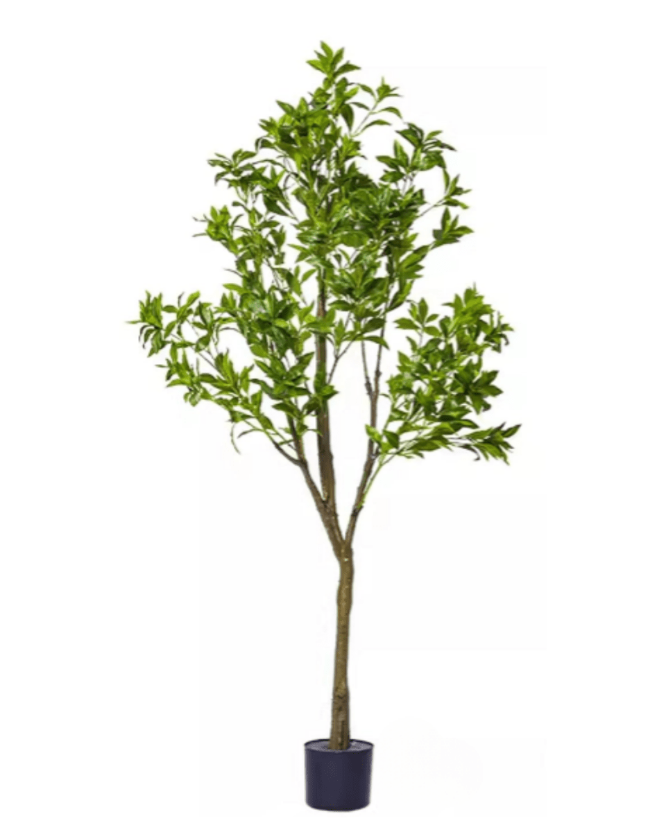 Japanese Andromeda (Faux) - Potted plant - 1838465396219318318 - 0 - Tumbleweed Plants - Online Plant Delivery Singapore