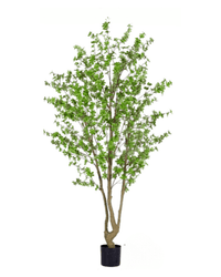 Japanese Andromeda (Faux) - Potted plant - 1838465396219318289 - 0 - Tumbleweed Plants - Online Plant Delivery Singapore