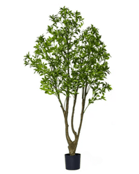 Japanese Andromeda (Faux) - Potted plant - 1838465396219318324 - 0 - Tumbleweed Plants - Online Plant Delivery Singapore