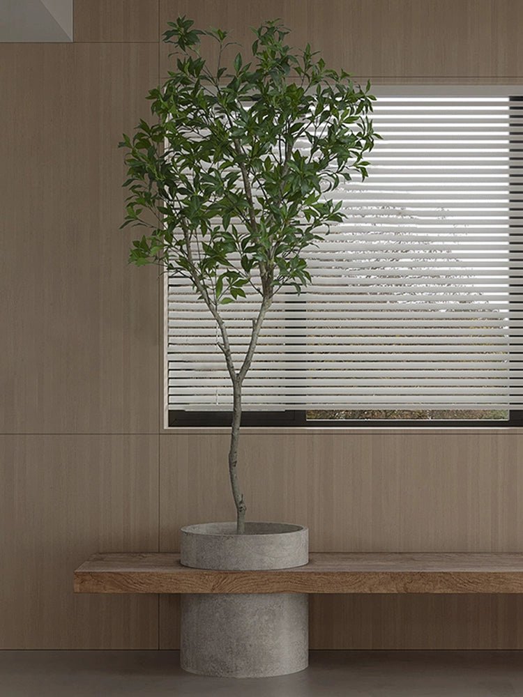 Japanese Andromeda - Real - Trunk Artificial - Potted plant - 4921603839547 - Tumbleweed Plants - Online Plant Delivery Singapore