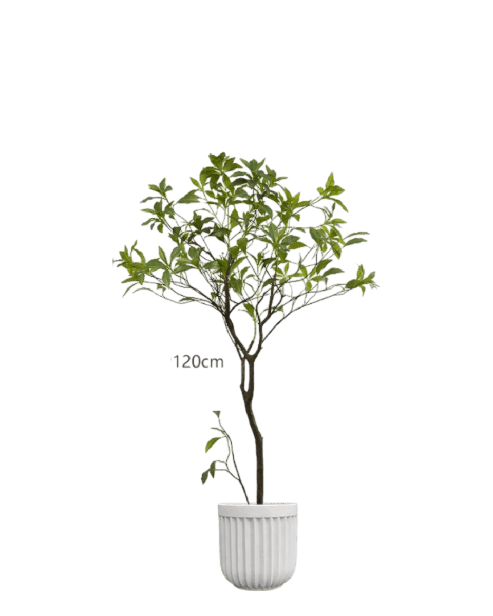 Japanese Andromeda - Real - Trunk Artificial - Potted plant - 5073729371703 - Tumbleweed Plants - Online Plant Delivery Singapore