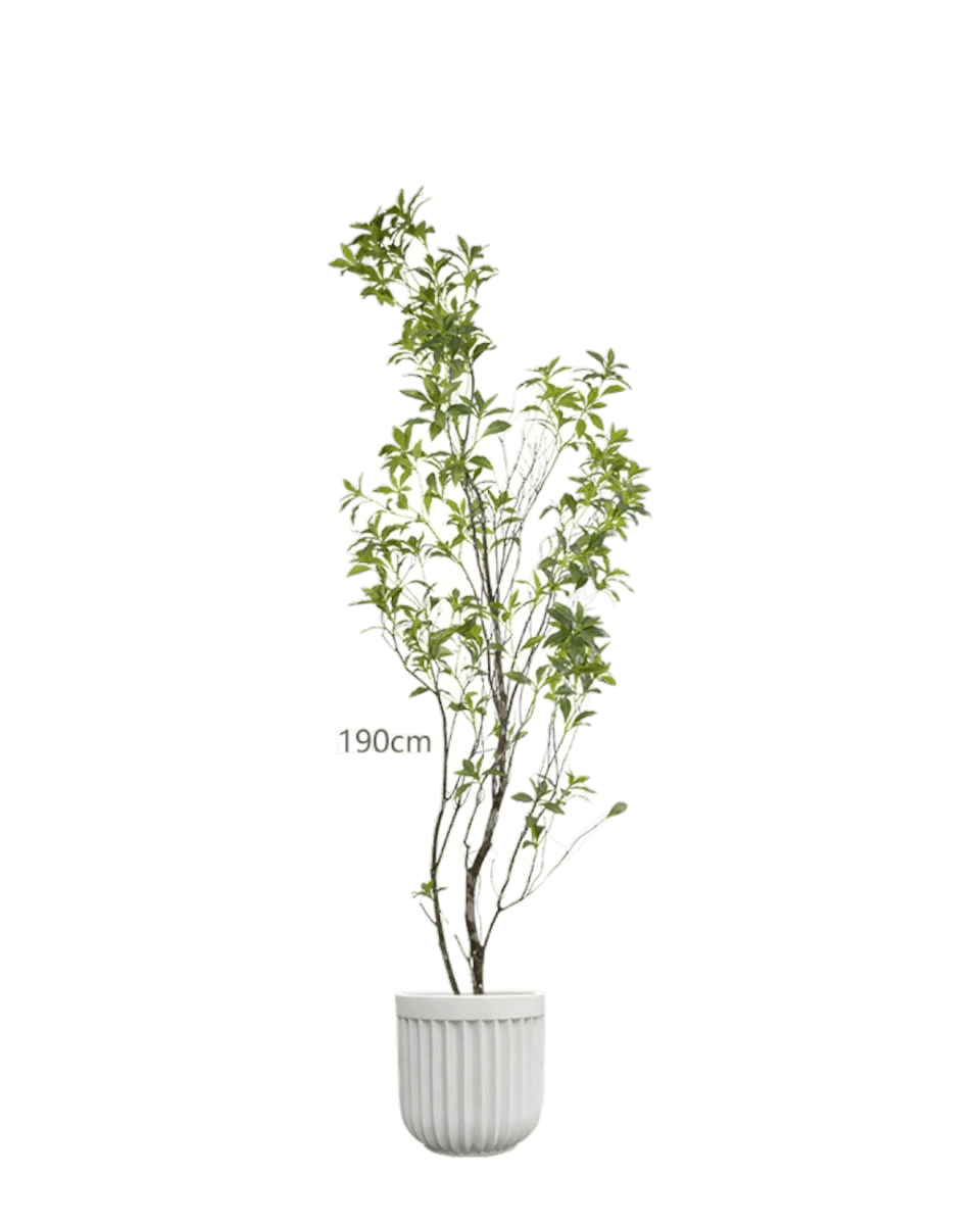 Luxury Green 190cm