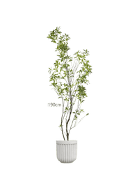 Japanese Andromeda - Real - Trunk Artificial - Potted plant - 5073729371704 - Tumbleweed Plants - Online Plant Delivery Singapore