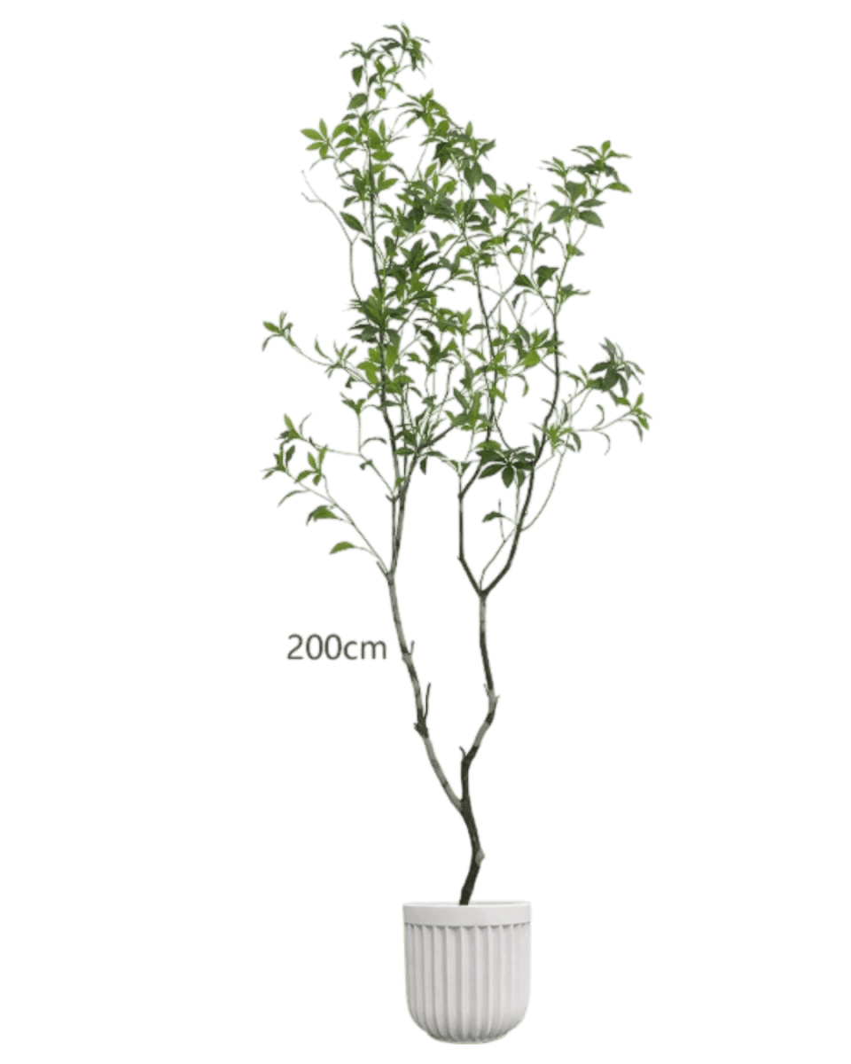Japanese Andromeda - Real - Trunk Artificial - Potted plant - 4901286369025 - Tumbleweed Plants - Online Plant Delivery Singapore