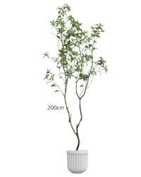 Japanese Andromeda - Real - Trunk Artificial - Potted plant - 4901286369025 - Tumbleweed Plants - Online Plant Delivery Singapore